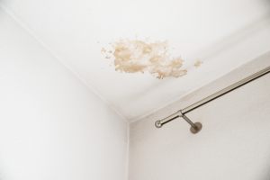 La petite tache au plafond qui vous coûtera cher si vous l'ignorez