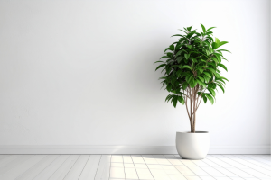 Ficus : tout savoir sur la star des plantes d&rsquo;intérieur